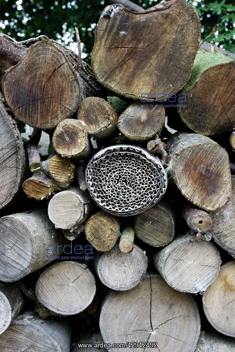 : Insect or bug hotel made from plastic bottle and : Insect or bug hotel made from plastic bottle and