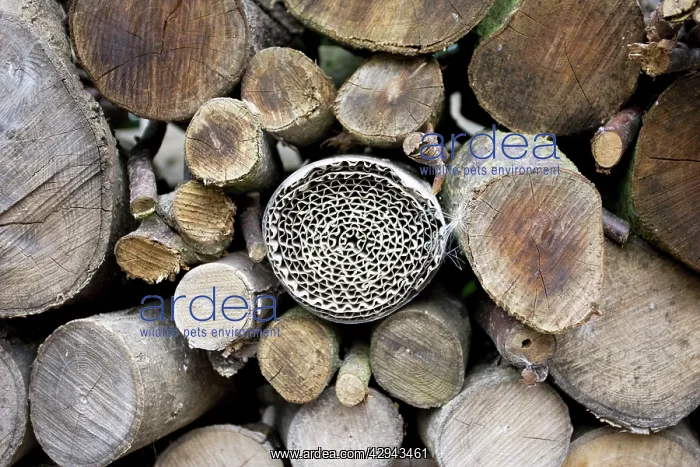 : Insect or bug hotel made from plastic bottle and : Insect or bug hotel made from plastic bottle and