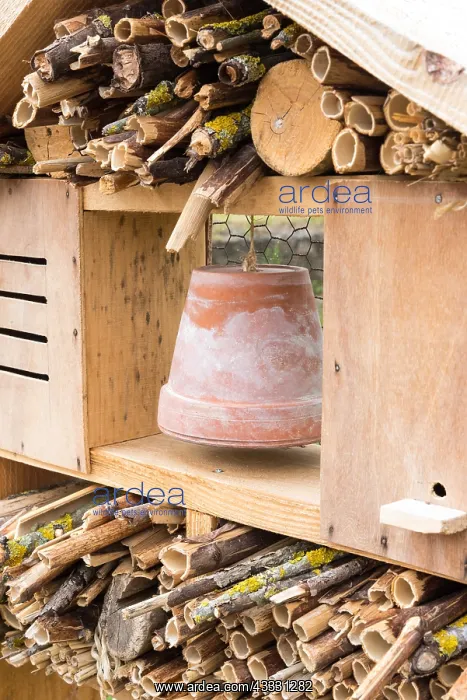 : Insect hotel in a garden France, Lorraine, Printemps : Insect hotel in a garden France, Lorraine, Printemps