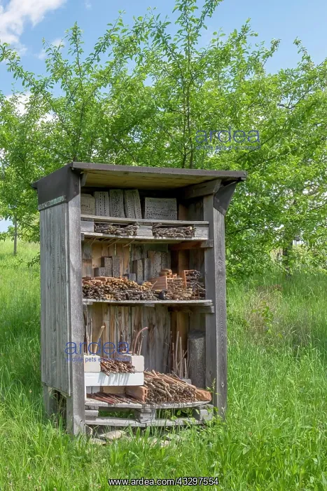 : Insect hotel in a meadow, Rhineland-Palatinate : Insect hotel in a meadow, Rhineland-Palatinate