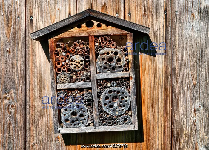  : Insect hotel on wooden wall, hanging at an angle