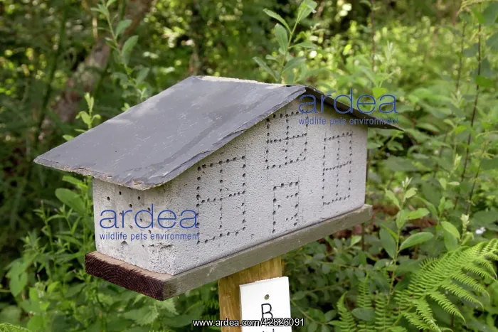  : Insect House