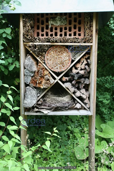 : Insect house : Insect house