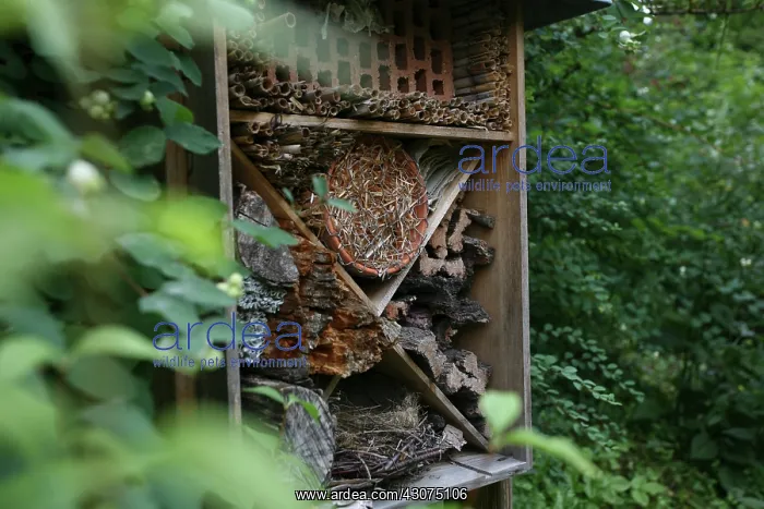 : Insect house : Insect house