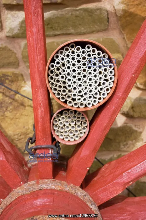 : Insect house - habitat with hollow tubes of varying : Insect house - habitat with hollow tubes of varying