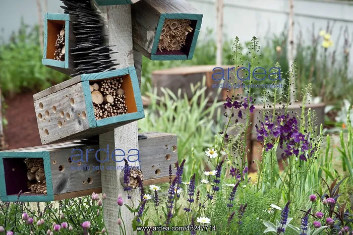 : Insect shelter : Insect shelter