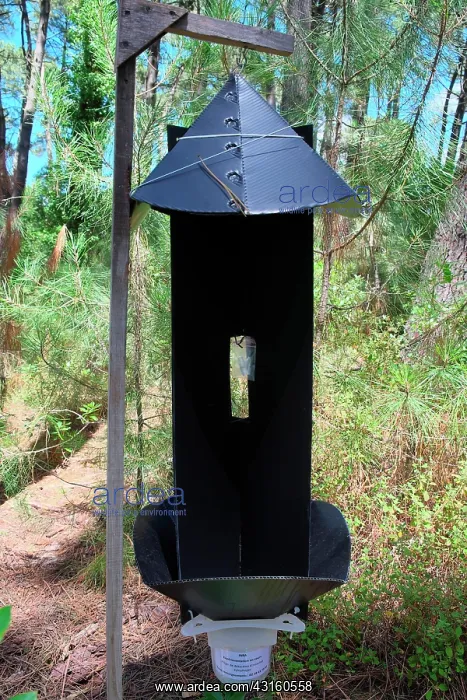 : insect trap detection boring experimentally by INRA : insect trap detection boring experimentally by INRA