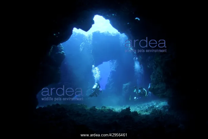: Inside of the cave at the 1st Cathedrals : Inside of the cave at the 1st Cathedrals