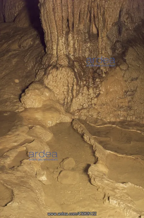  : Cave. The inside of a cave in Tennessee