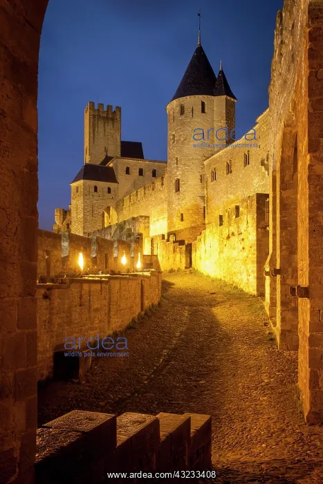 : Inside the fortified Cite Carcassonne, Languedoc-Roussillon : Inside the fortified Cite Carcassonne, Languedoc-Roussillon