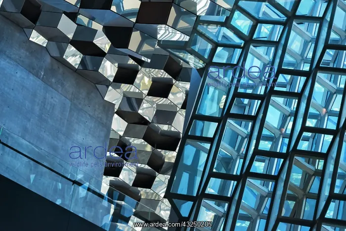 : Inside Harpa Concert Hall and Conference Center : Inside Harpa Concert Hall and Conference Center