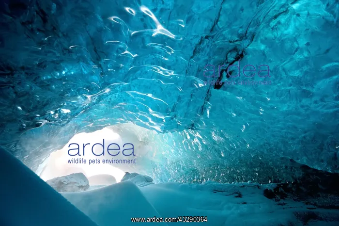: Inside an ice cave in the glacier Vatnajakull : Inside an ice cave in the glacier Vatnajakull