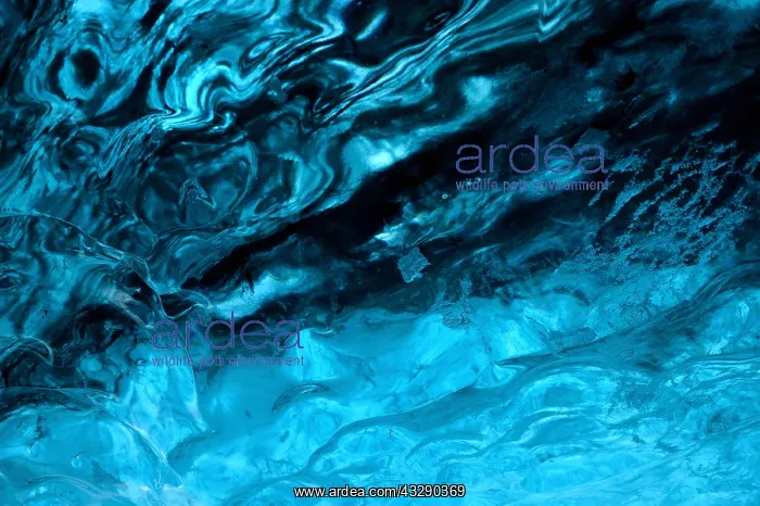 : Inside an ice cave in the glacier Vatnajakull w : Inside an ice cave in the glacier Vatnajakull w