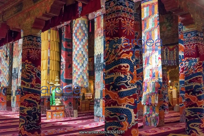  : Inside a praying hall in Drepung Monastery, one