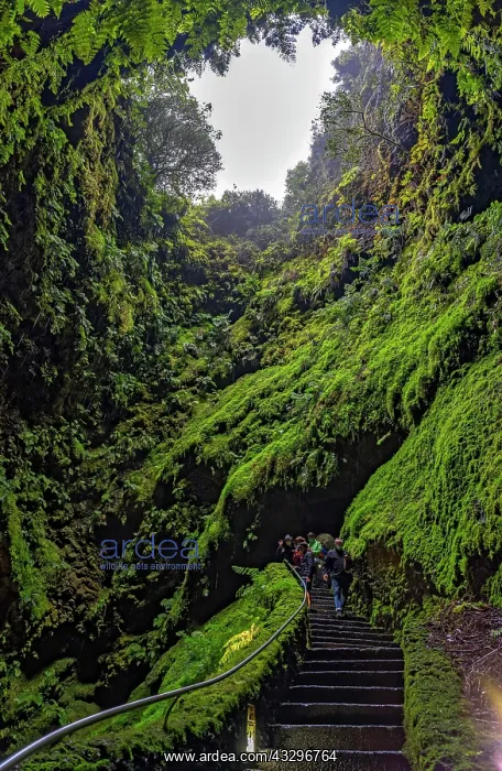 : Inside the volcanic vent Algar do carvao Azores : Inside the volcanic vent Algar do carvao Azores
