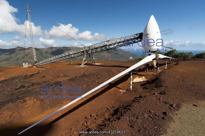 : Inspection of a wind turbine in New Caledonia : Inspection of a wind turbine in New Caledonia
