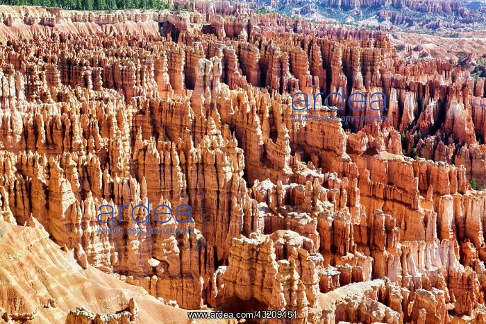 : Inspiration Point Lookout in the Bryce Canyon National : Inspiration Point Lookout in the Bryce Canyon National