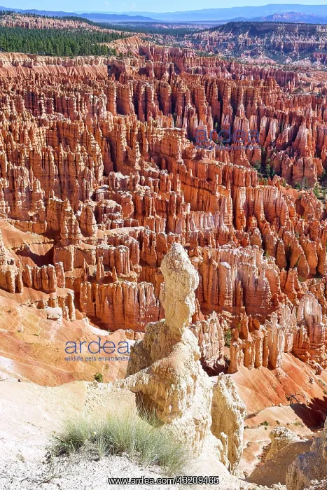 : Inspiration Point Lookout in the Bryce Canyon National : Inspiration Point Lookout in the Bryce Canyon National
