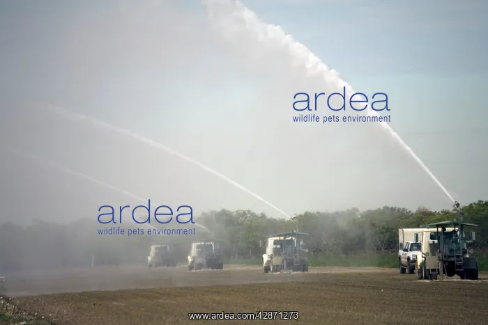 : Intensive irrigation from groundwater : Intensive irrigation from groundwater