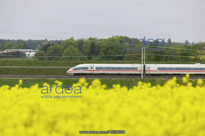 : InterCityExpress of Deutsche Bahn AG on the new : InterCityExpress of Deutsche Bahn AG on the new