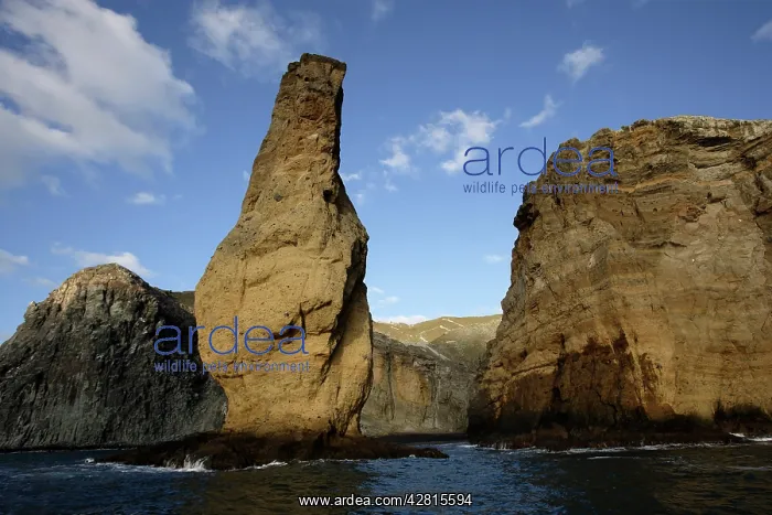 : interesting shaped rock on San Benedicto island Revillagiged : interesting shaped rock on San Benedicto island Revillagiged