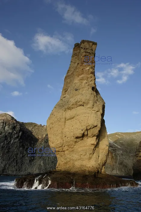 : interesting shaped rock on San Benedicto island Revillagiged : interesting shaped rock on San Benedicto island Revillagiged