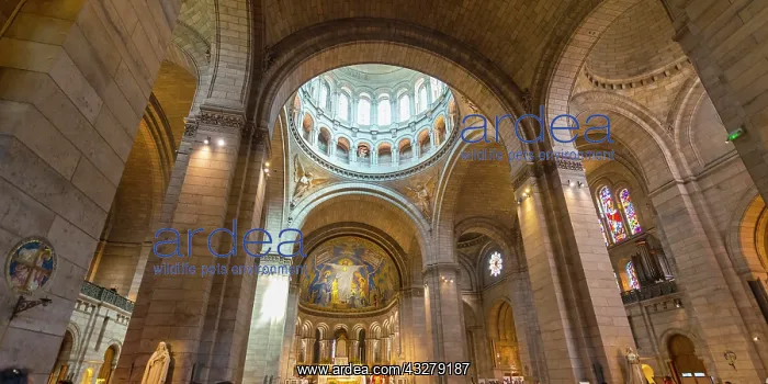: Interior arches of the Basilica of Sacr&, x9803;oeur : Interior arches of the Basilica of Sacr&, x9803;oeur