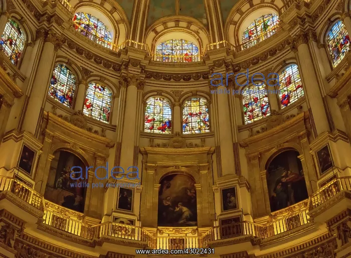 : Interior of the Cathedral : Interior of the Cathedral