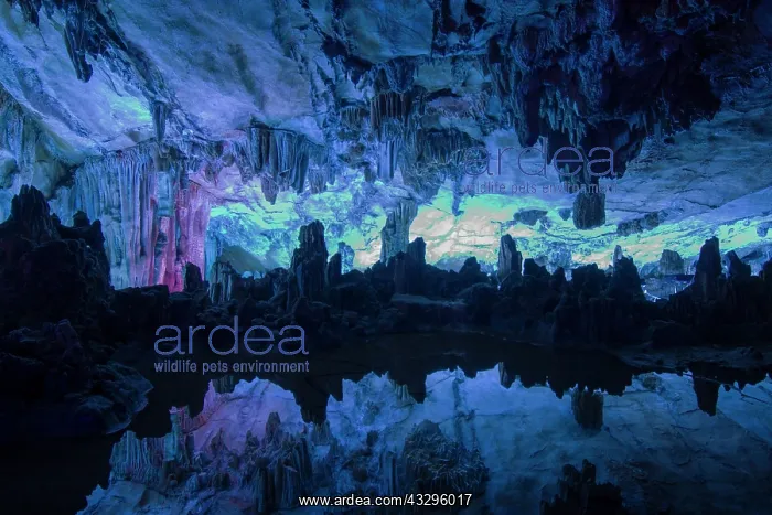 : Interior of a limestone cave with stalactites and : Interior of a limestone cave with stalactites and