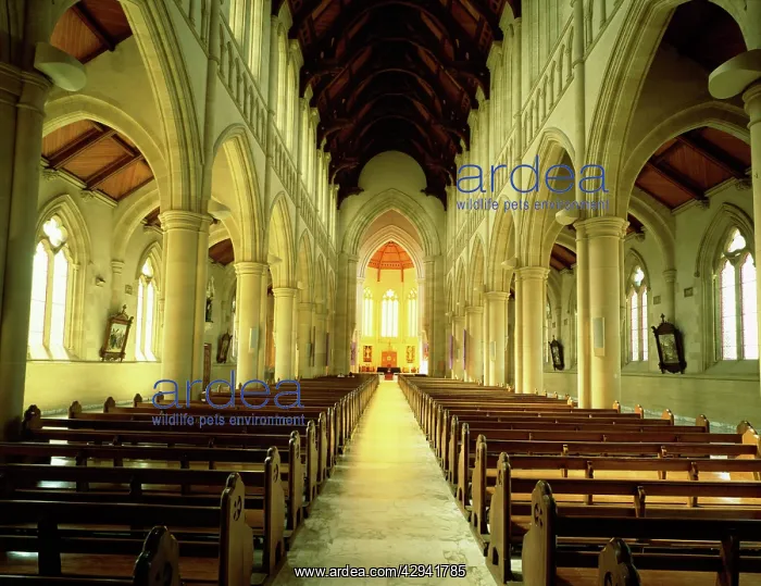 : Interior, Sacred Heart Cathedral, Bendigo, Victoria : Interior, Sacred Heart Cathedral, Bendigo, Victoria
