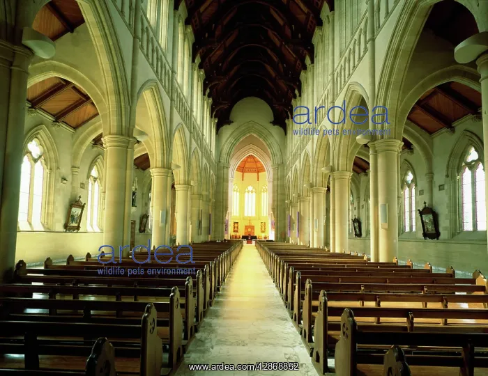 : Interior, Sacred Heart Cathedral Bendigo : Interior, Sacred Heart Cathedral Bendigo