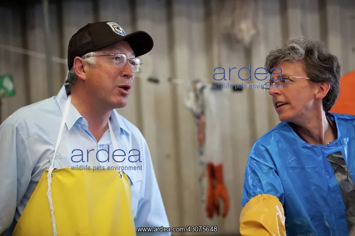 : Interior Secretary Salazar at Bird Cleaning Station : Interior Secretary Salazar at Bird Cleaning Station