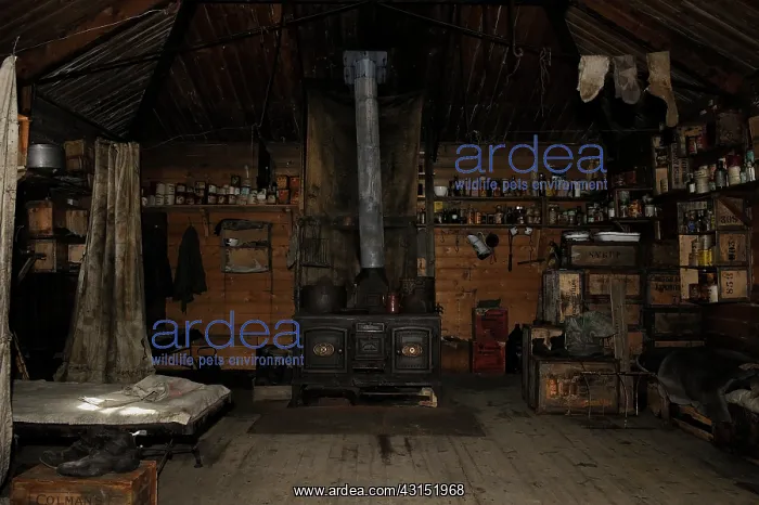 : Interior of Shackelton's Hut at Cape Royds : Interior of Shackelton's Hut at Cape Royds