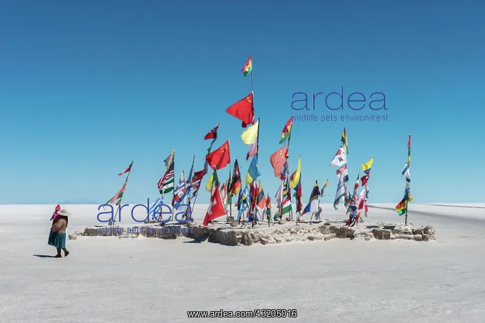 : International Flags, Salar de Uyuni, Uyuni, Department : International Flags, Salar de Uyuni, Uyuni, Department