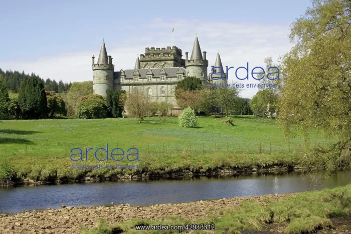 : Inverary Castle - Argyll, Scotland : Inverary Castle - Argyll, Scotland