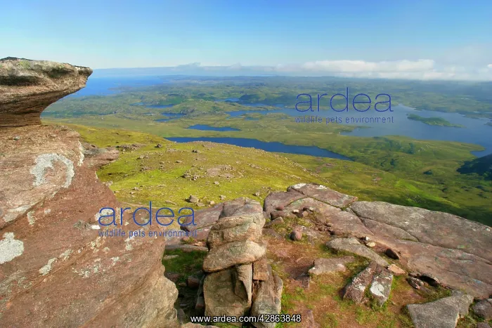 : Inverpolly Nature Reserve - sandstone turrets on : Inverpolly Nature Reserve - sandstone turrets on