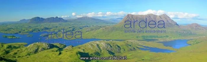 : Inverpolly Nature Reserve - view from Stac Pollaidh : Inverpolly Nature Reserve - view from Stac Pollaidh