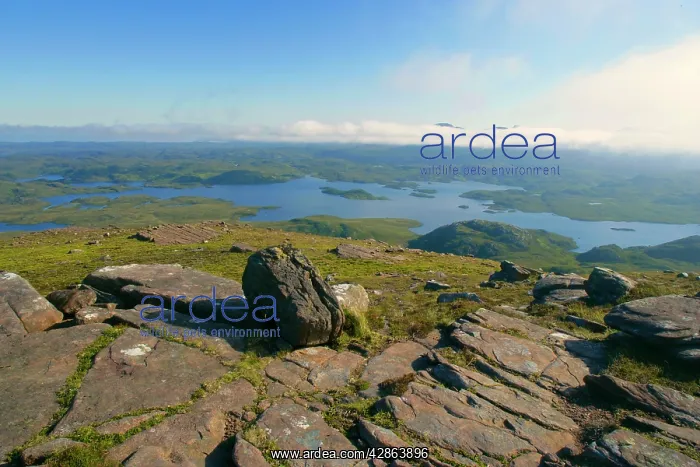 : Inverpolly Nature Reserve - view from Stac Pollaidh : Inverpolly Nature Reserve - view from Stac Pollaidh