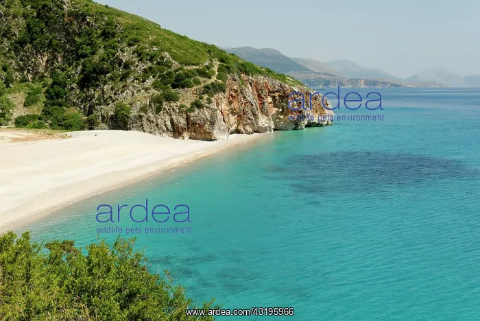 : Ionian Sea, coast at Dhermi, Alabanian Riviera : Ionian Sea, coast at Dhermi, Alabanian Riviera