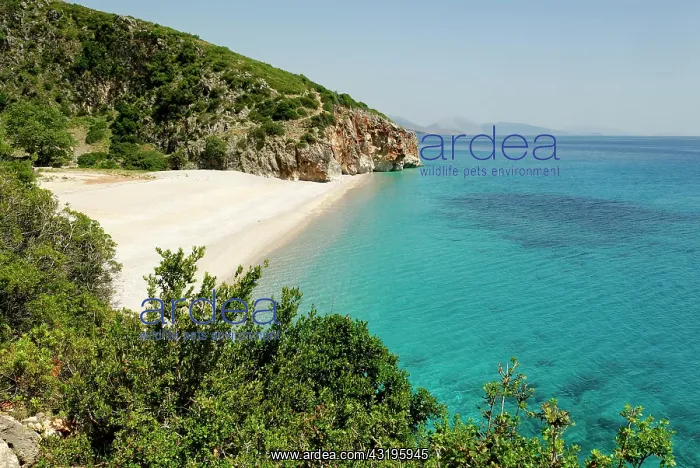 : Ionian Sea, coast near Dhermi, Albanian Riviera : Ionian Sea, coast near Dhermi, Albanian Riviera