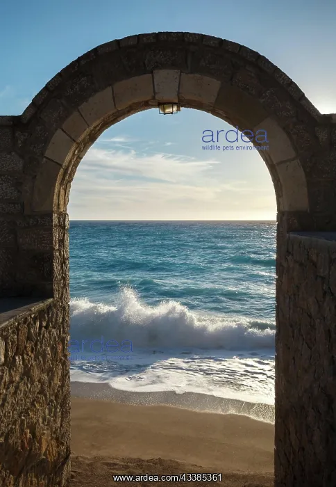 : Ionian sea Greece, seashore through the arch door, K : Ionian sea Greece, seashore through the arch door, K