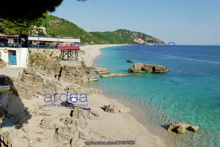 : Ionian Sea, restaurant on the coast at Dhermi, Alabanian : Ionian Sea, restaurant on the coast at Dhermi, Alabanian