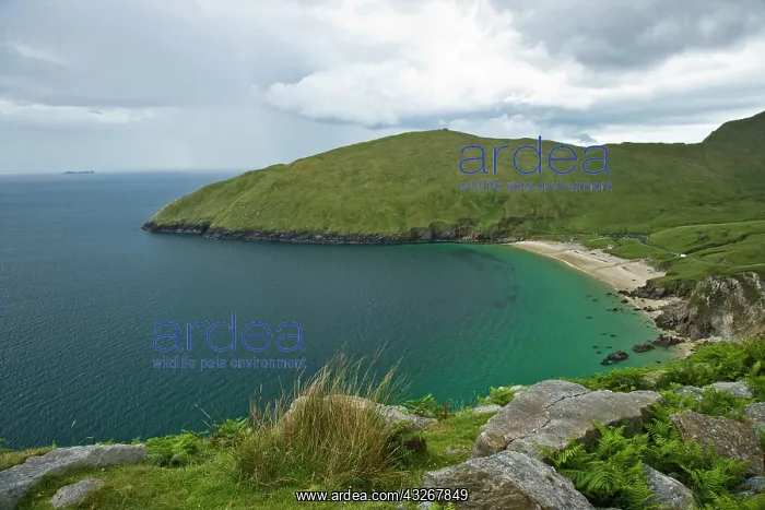  : Ireland, Achill Island. The turquoise waters