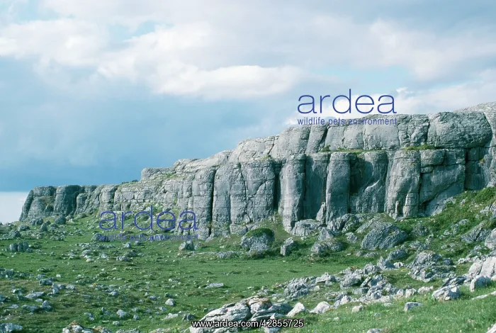 : IRELAND - Carboniferous Limestone Cliffs : IRELAND - Carboniferous Limestone Cliffs
