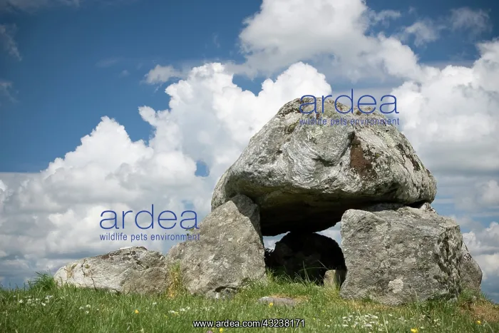 : Ireland, Carrowmore. Ancient megalithic : Ireland, Carrowmore. Ancient megalithic