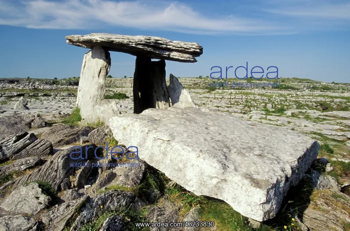 : Ireland, County Clare, Burren Area. Poulnabrone : Ireland, County Clare, Burren Area. Poulnabrone