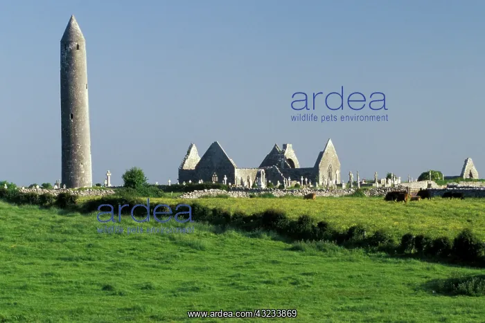 : Ireland, County Clare. Kilmacduagh Church : Ireland, County Clare. Kilmacduagh Church