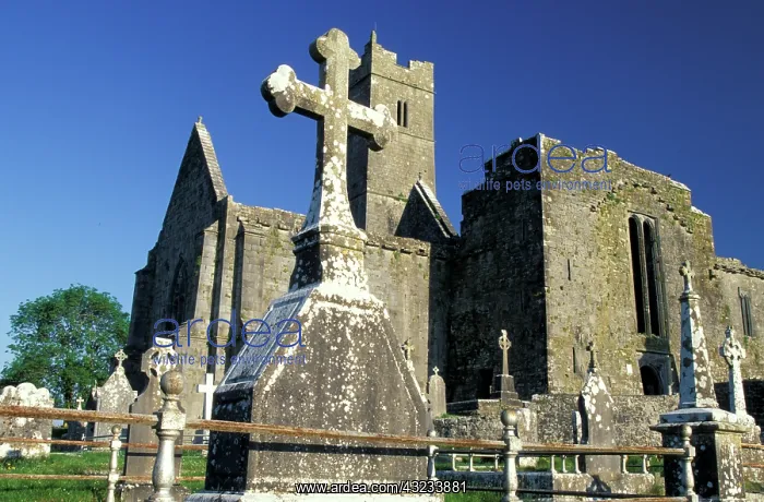 : Ireland, County Clare. Quin Abbey, Crosses : Ireland, County Clare. Quin Abbey, Crosses