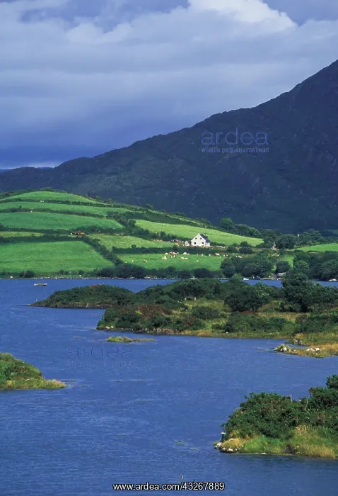 : Ireland, County Cork, Beara Peninsula. Ardgroom : Ireland, County Cork, Beara Peninsula. Ardgroom