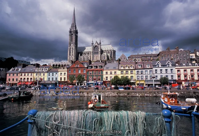 : Ireland, County Cork, Cobh. Harbor view : Ireland, County Cork, Cobh. Harbor view